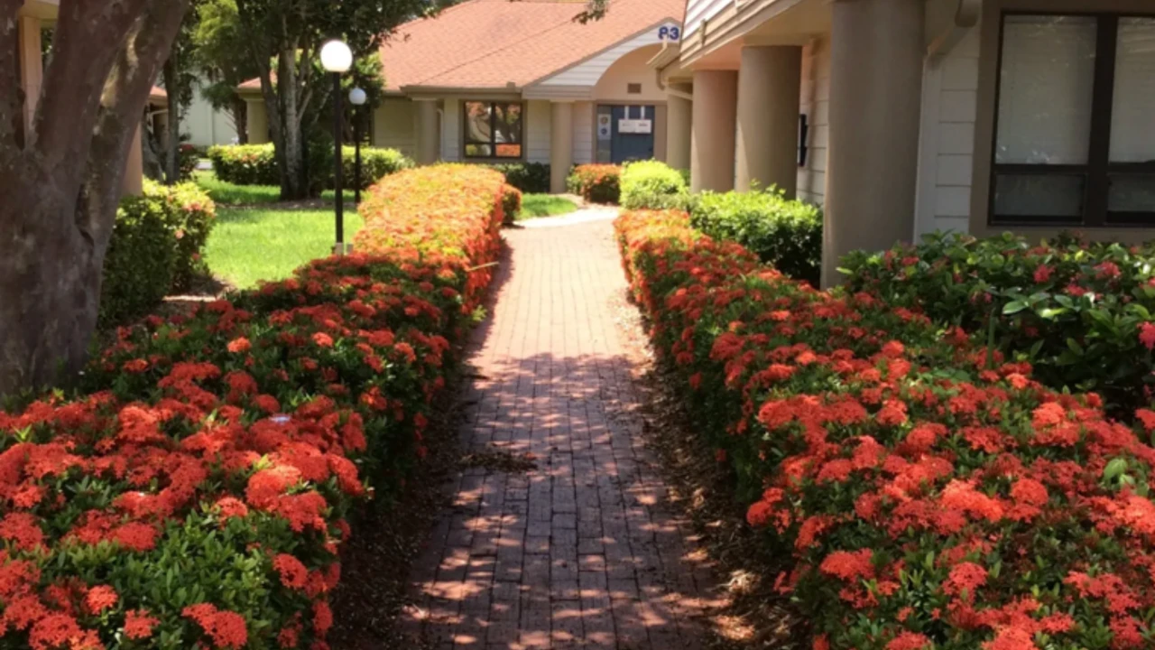Peaceful garden pathway leading to Life Touch Massage & Lymphatic Care healing haven in Southwest Florida
