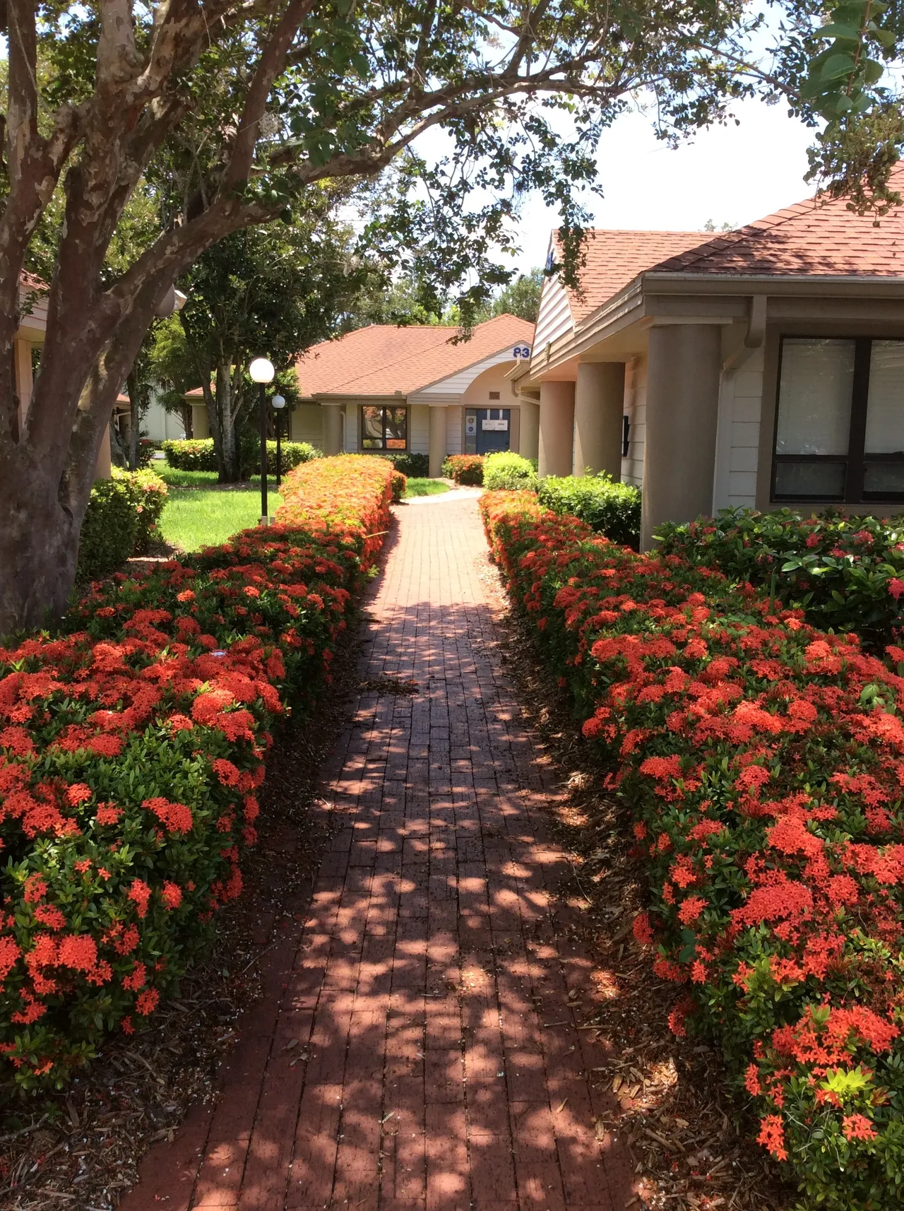 Walk the pathway from the parking lot to Bldg 82 to reach our office.